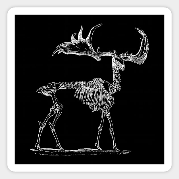 Moose Skeleton Magnet by tommartinart